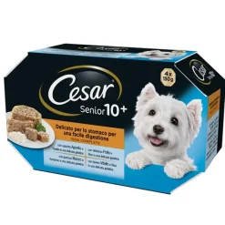 Cesar - Delizie del Giorno Senior 10+ Multipack Selezione in Gelatina* Senior E Mature