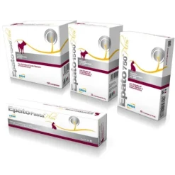 Drn - Epato Plus* Parafarmacia Per Cani|Patologie Gastrointestinali