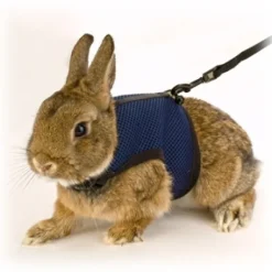 Ferplast - Jogging* Accessori