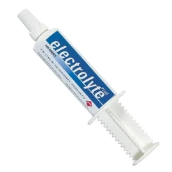 FM Italia - Electrolyte Plus* Parafarmaci Uso Veterinario
