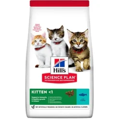 Hill's - Science Plan Kitten con Tonno* Kitten