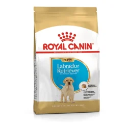Royal Canin - Labrador Retriever Junior* Puppy