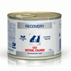 Royal Canin - Veterinary Diet Recovery* Senior|Adult
