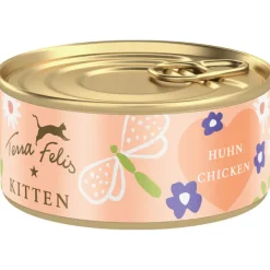 Terra felis - Kitten Pollo* Kitten