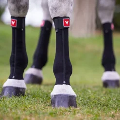 Vetoflex - Fascia compressiva equini Classic Short* Accessori Pet Shop